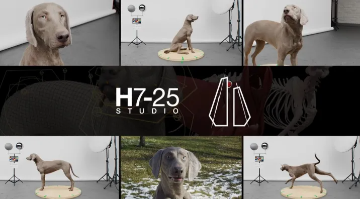 小狗动态模拟视效解析